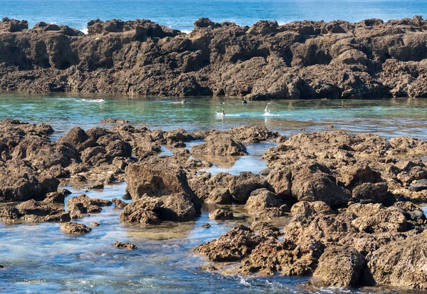 Nuotatori nelle piscine rocciose per fare snorkeling a Sharks Cove Hawaii — Foto Stock