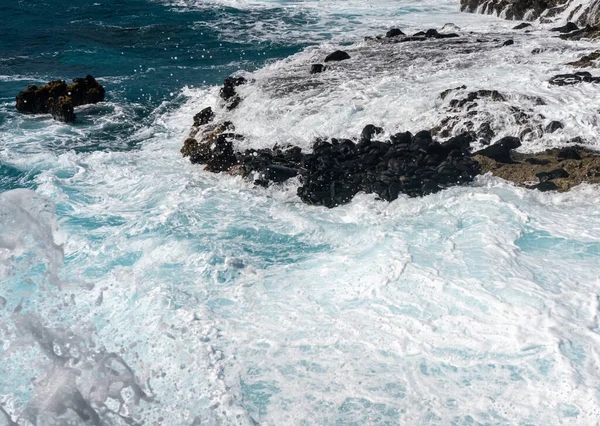 Ondas de inverno colidem na costa rochosa em Kaena Point em Oahu — Fotografia de Stock