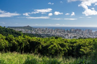 Panorama of Waikiki and Honolulu from Tantalus Overlook on Oahu