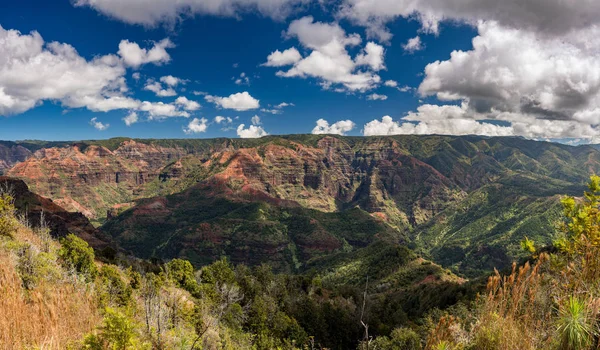 Panorama of the Waimea Canyon from the Iliau Nature loop on Kauai, Hawaii — 图库照片