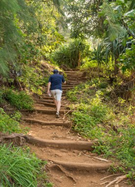 Steep steps in the dirt path of Kalalau trail on Na Pali coast of Kauai