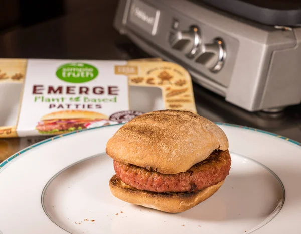 Vida simples Emerge hambúrguer à base de plantas no pão sem glúten com queijo derretido — Fotografia de Stock