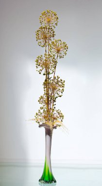 Bir vazo içinde süs Soğan allium