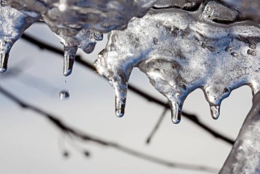 İlkbaharda damlayan buz sarkıtları