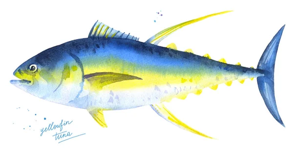 Gulfenad tonfisk akvarell illustration — Stockfoto