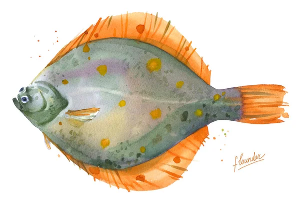 Flounder, plaice watercolor illustration — Stock Photo, Image
