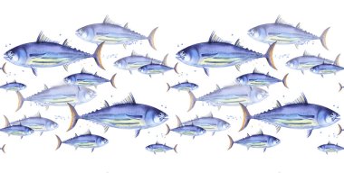 Çizgili ton balığının kusursuz deseni, Skipjack ton balığı. Beyaz arkaplanda suluboya resimleme balık sınırı