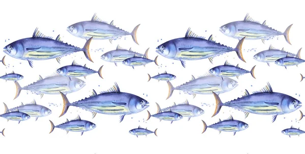 Sömlöst Mönster Skolan Randig Tonfisk Bonit Tonfisk Akvarell Illustration Fisk — Stockfoto