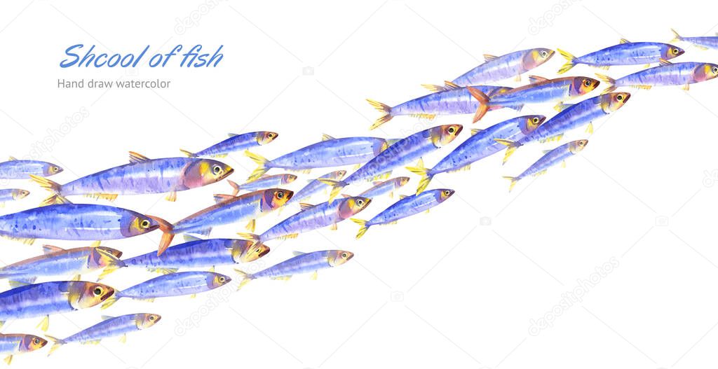 Watercolor school of blue fish isolated on white background. Underwater background for marine or fishing design
