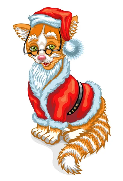 Chat Père Noël. Illustration de Noël — Image vectorielle