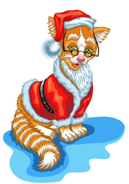 고양이 산타 클로스. 크리스마스 그림 — 스톡 벡터
