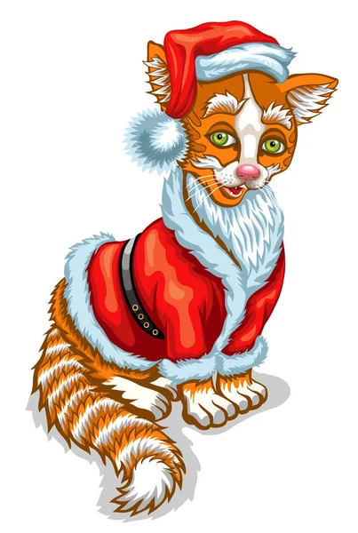 Chat Père Noël. Illustration de Noël — Image vectorielle