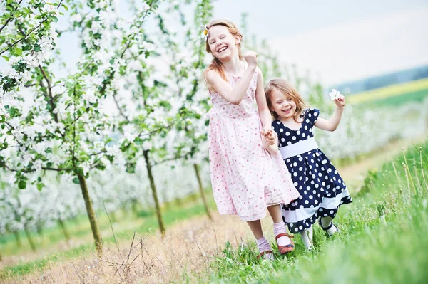 Duas garotinhas correm e se divertem no jardim da primavera — Fotografia de Stock