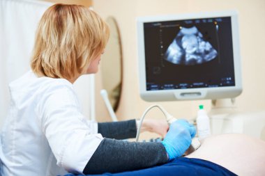 Ultrason testi. Gebelik. Jinekolog fetal yaşam tarayıcı ile kontrol.