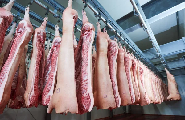 Armazenamento de carne geladeira com lados de mão em açougue de porco . — Fotografia de Stock