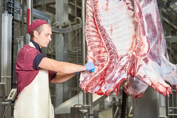 Meat manufacturing factory. butcher cutting beef carcass — Stock Photo, Image