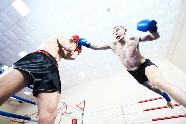 Muay thai lutadores no ringue de boxe — Fotografia de Stock