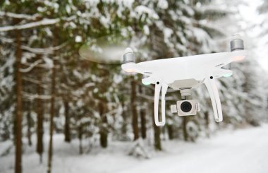 Kış ormanda uçan uçak