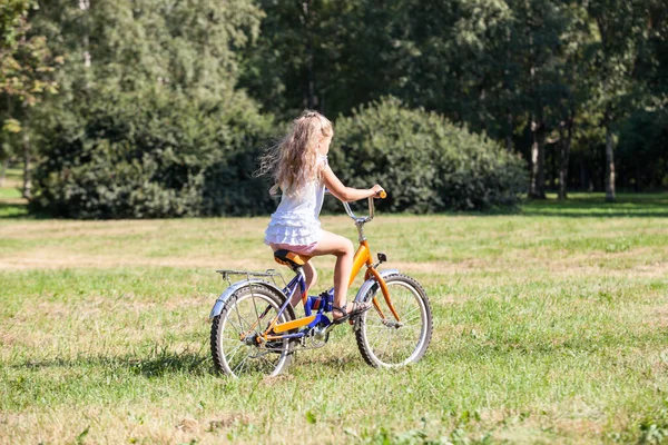Молода Дівчина Білій Сукні Їде Велосипеді Літньому Парку Лузі Зеленою Ліцензійні Стокові Зображення
