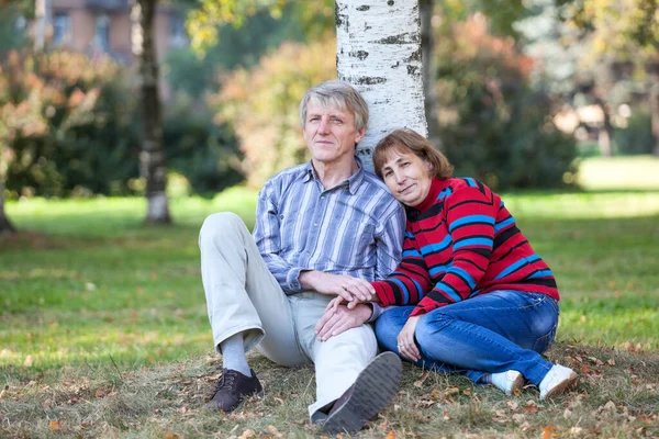 Senior Caucasian Couple Sitting Birch Tree Earth Autumn Park Holding — Stock Photo, Image