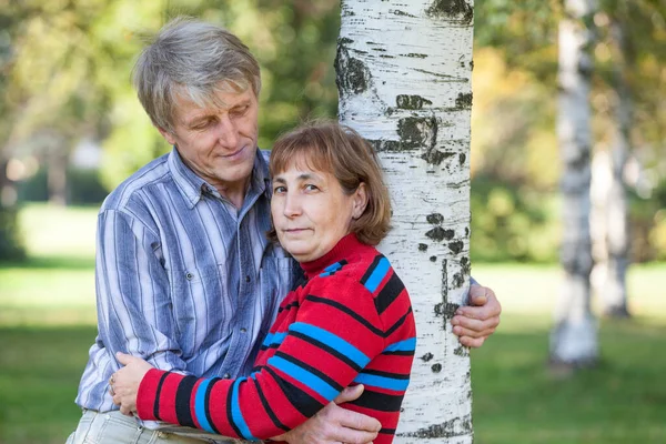 Yaşlı Beyaz Adam Karısını Huş Ağacını Kucaklıyor Kadına Bakıyor Yarım — Stok fotoğraf