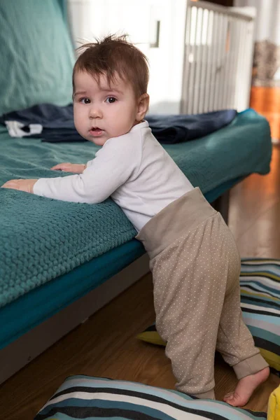 幼児の子供は彼の足の上に立ち始め ソファを保持し 柔らかい枕は安全落下のために周りにあります — ストック写真