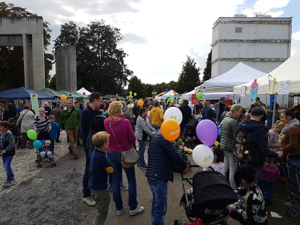Almanya şehirde çocuk dünya gün 2017