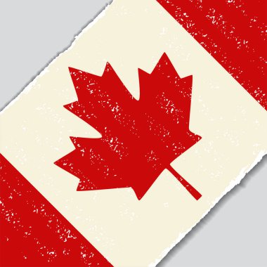 Kanadalı grunge bayrak. vektör çizim.