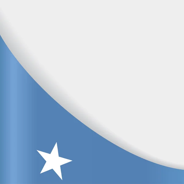 Somalische Flagge Hintergrund. Vektorillustration. — Stockvektor