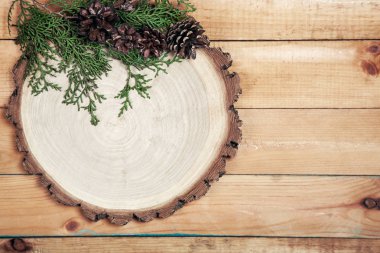 Mazı (bitki) ve çam kozalakları yaprakları ile kurulu