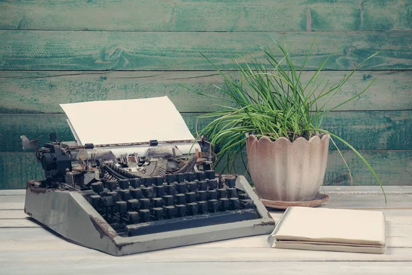 Sale machine à écrire vintage avec plante et carnet vierge — Photo