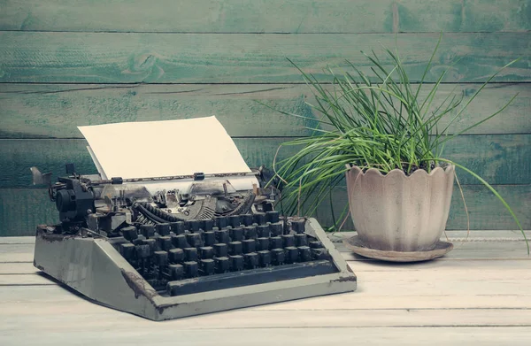 Sale machine à écrire vintage avec plante sur un pot — Photo