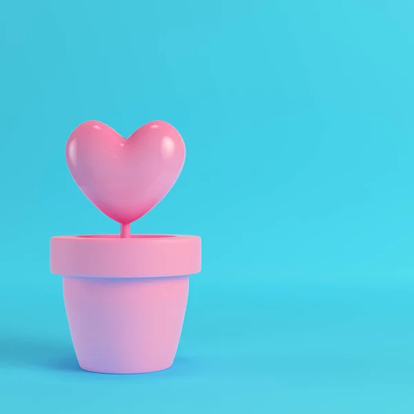 Coração rosa nos vasos na caixa vermelha no fundo azul brilhante. Min. — Fotografia de Stock