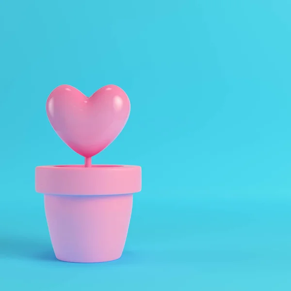 Corazón rosa en las ollas en la caja roja sobre fondo azul brillante. Min. — Foto de Stock