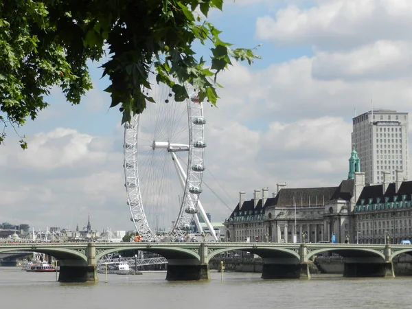 Uitzicht London Eye Vanuit Victoria Tower Gardens — Stockfoto