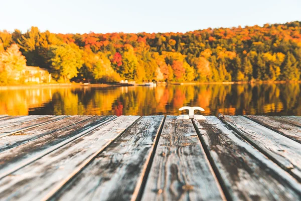 Lege houten dock op het meer met bomen op de achtergrond — Stockfoto