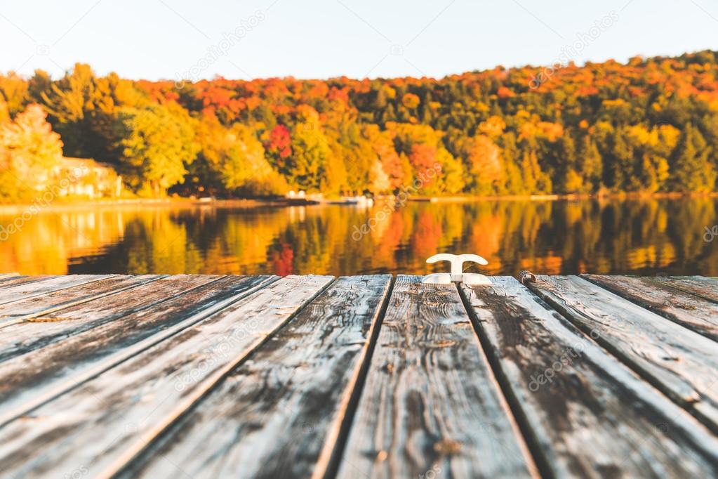 Empty wooden dock on the lake with trees on background