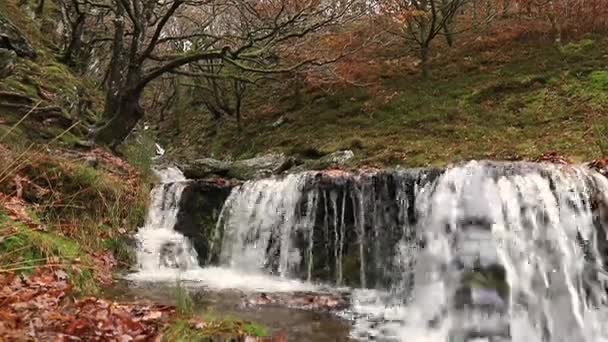 Pequena cachoeira no País de Gales, época de outono — Vídeo de Stock