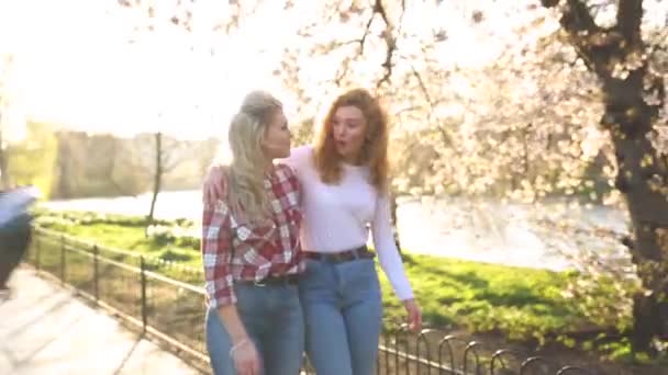 Dos mujeres caminando en el parque — Vídeo de stock