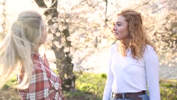 Dos mujeres hablando en el parque — Vídeo de stock