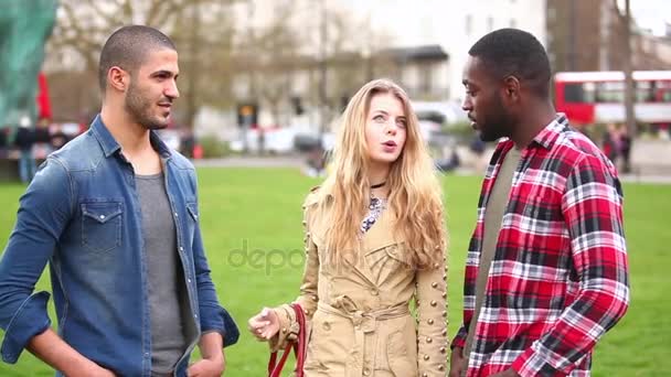 Groupe multiracial d'amis parlant — Video