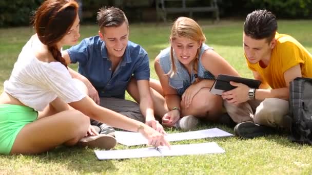 Adolescentes estudando juntos no parque — Vídeo de Stock