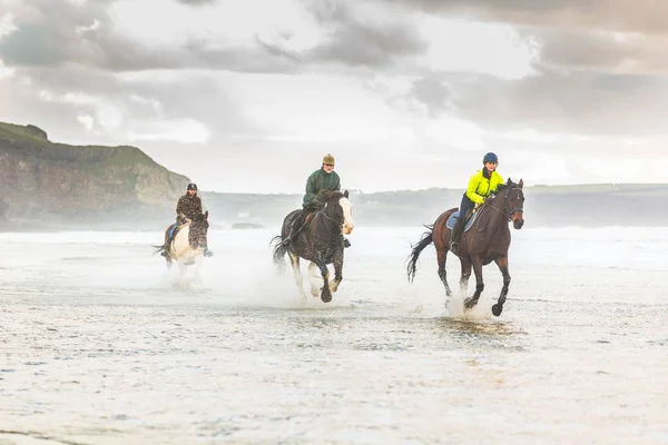 Chevaux galopant sur la plage — Photo