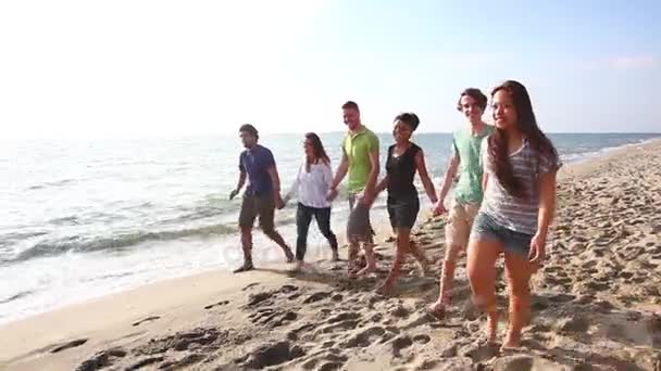 Çok ırklı bir grup arkadaşıyla kumsalda yürüyen — Wideo stockowe