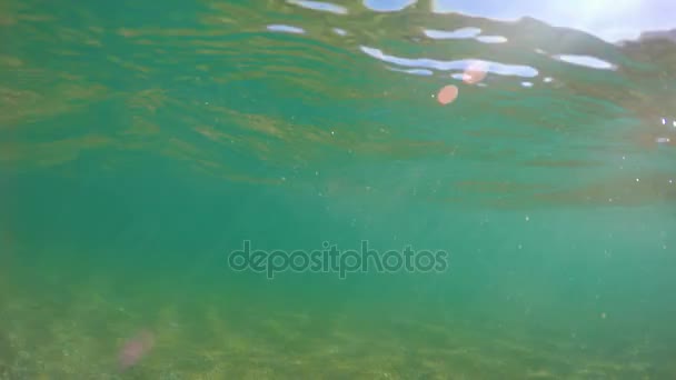 Vistas submarinas y de la línea de flotación en el mar — Vídeos de Stock