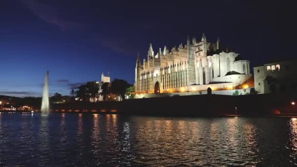 Kathedrale in Palma de Mallorca bei Nacht — Stockvideo