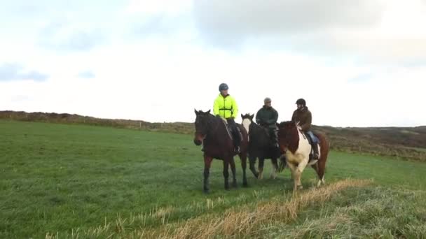 Pessoas montando cavalos no campo — Vídeo de Stock