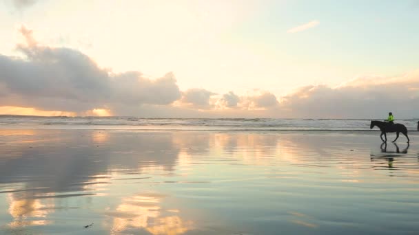 Pessoas montando cavalos na praia ao pôr do sol — Vídeo de Stock