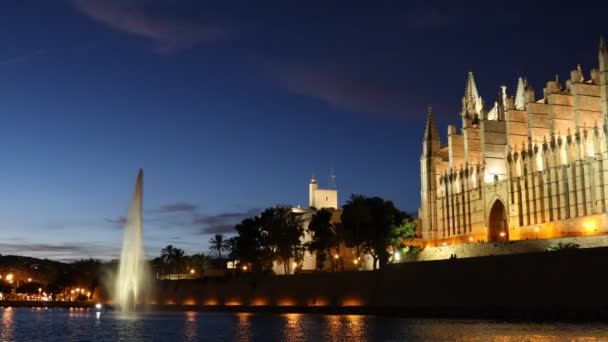 晚上在帕尔马德马略卡岛大教堂 — 图库视频影像