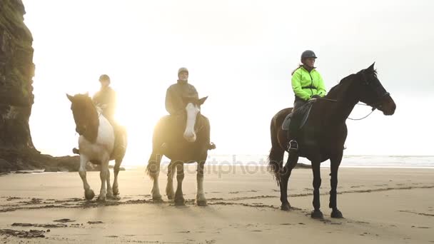 Ludzie z końmi na plaży o zachodzie słońca — Wideo stockowe